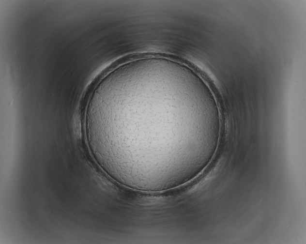X0000112150925200908211411