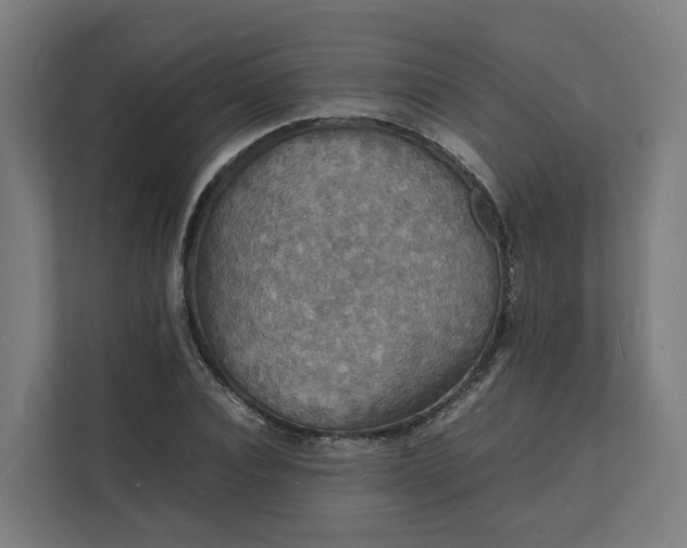 X0000112150928200908211411