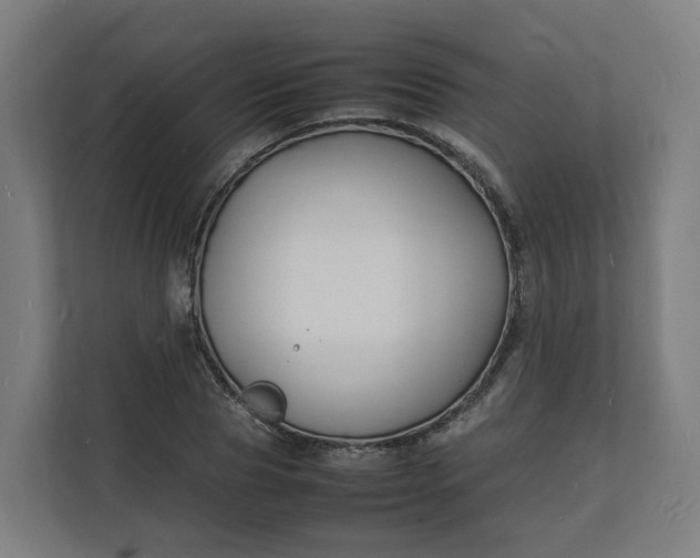 X0000112150929200908211411