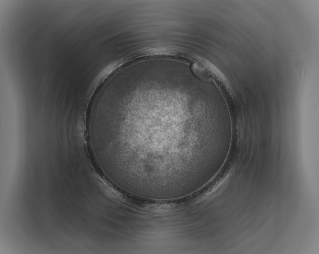 X0000112150930200908211411