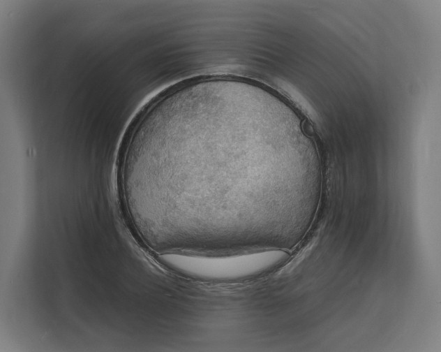 X0000112150932200908211411