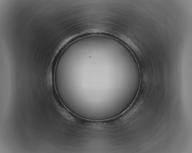 X0000112150934200908211411