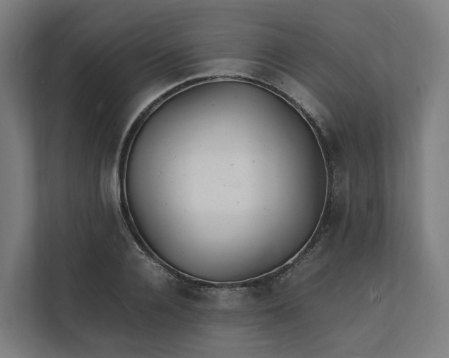 X0000112150936200908211411