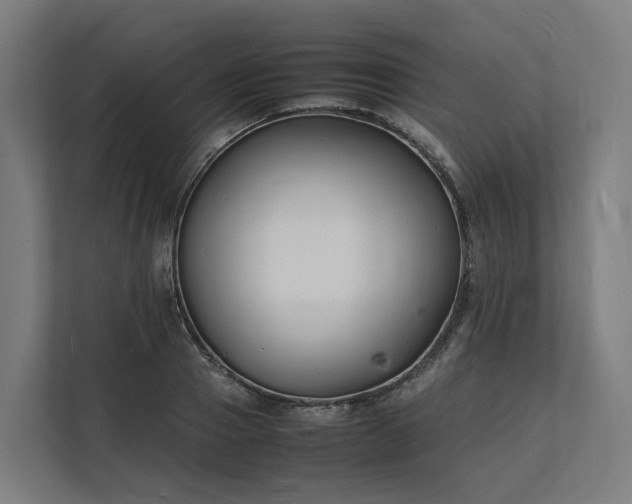 X0000112150937200908211411