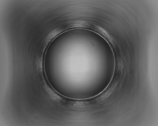 X0000112150938200908211411