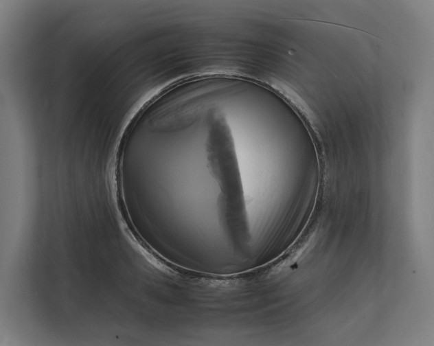 X0000112150941200908211411