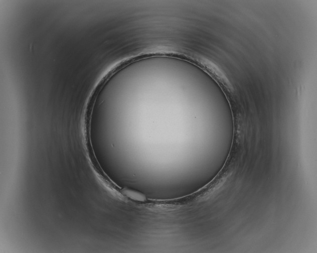 X0000112150942200908211411