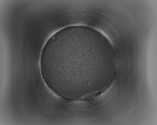 X0000112150943200908211411