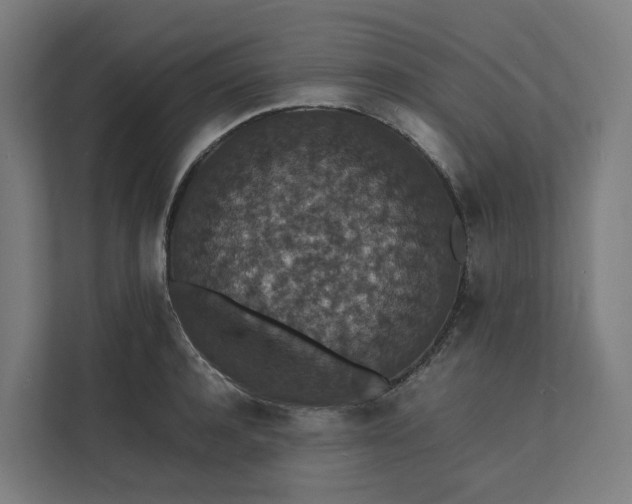 X0000112150944200908211411