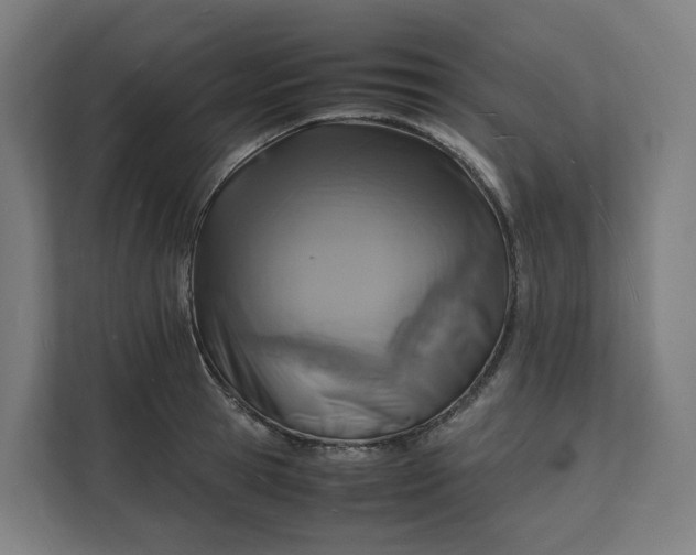 X0000112150945200908211411
