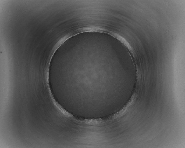 X0000112150946200908211411