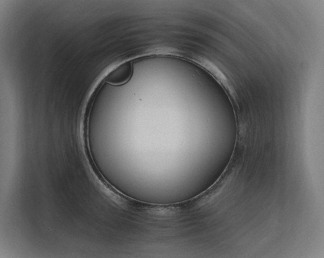 X0000112150947200908211411