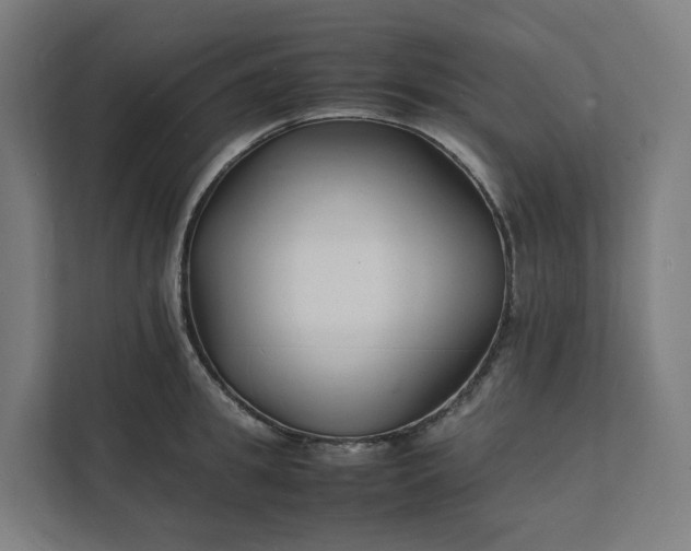 X0000112150949200908211411