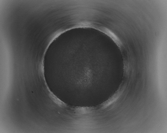 X0000112150950200908211411