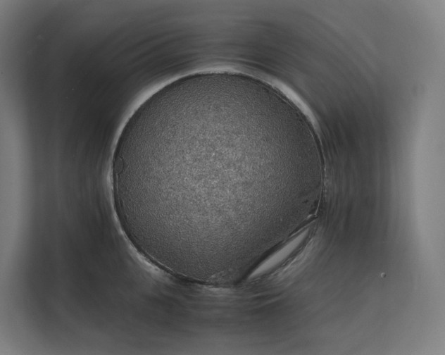 X0000112150951200908211411
