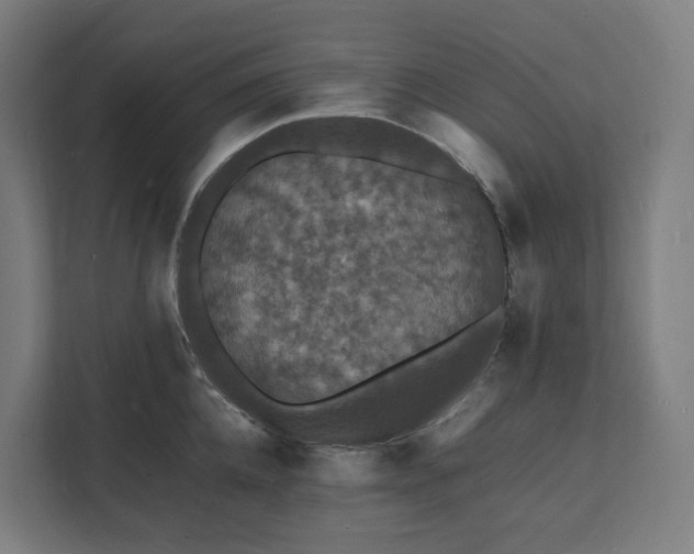 X0000112150952200908211411