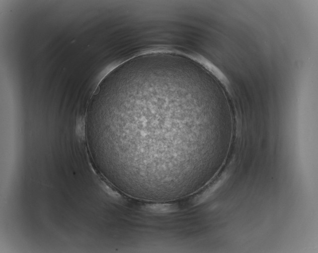 X0000112150953200908211411