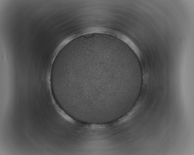 X0000112150954200908211411