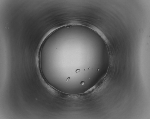 X0000112150955200908211411