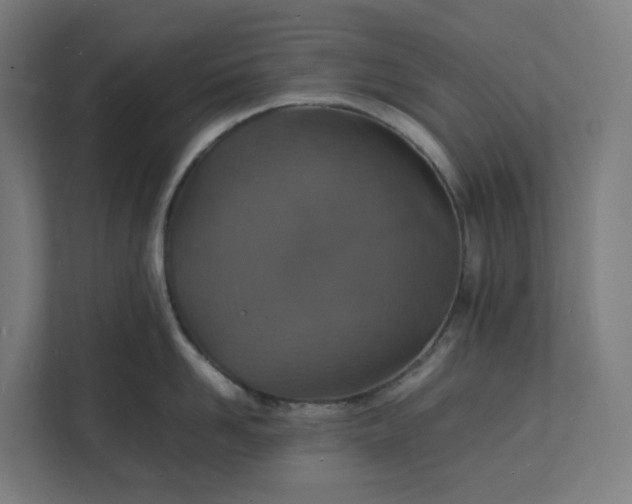 X0000112150958200908211411