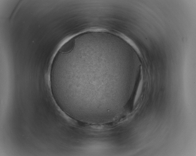 X0000112150959200908211411