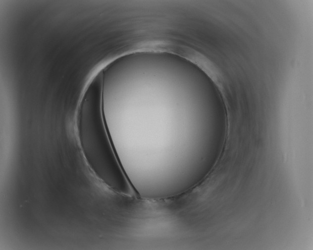 X0000112150960200908211411