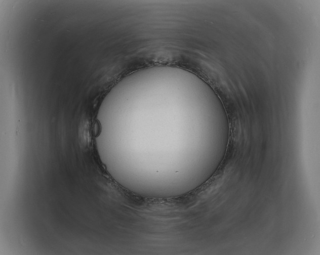 X0000112150962200908211411