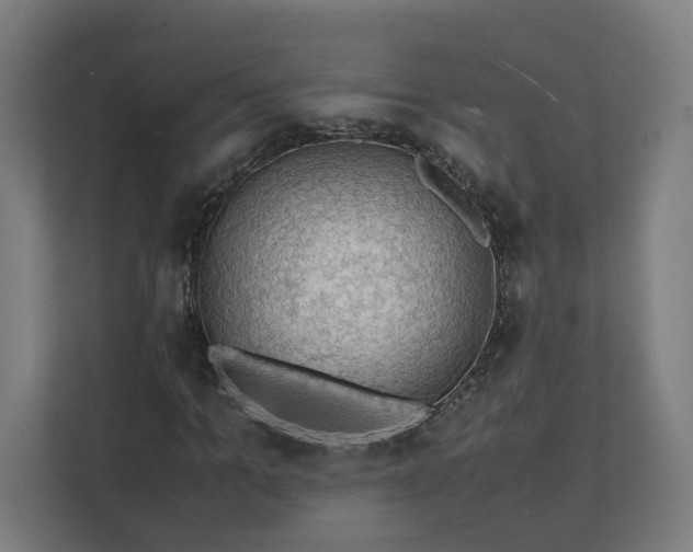 X0000112150965200908211411
