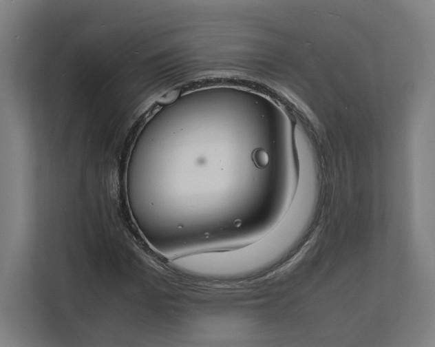 X0000112150969200908211411