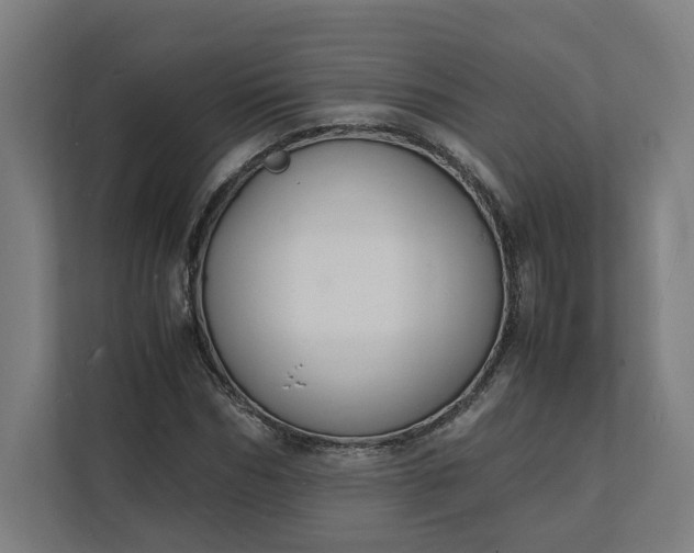 X0000112150970200908211411
