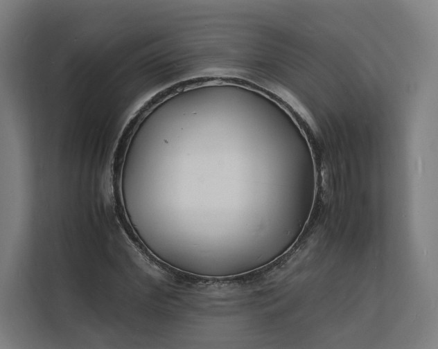 X0000112150972200908211411