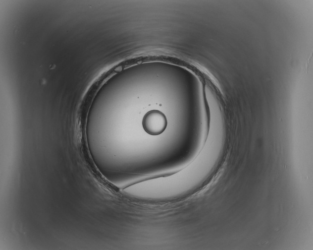 X0000112150973200908211411
