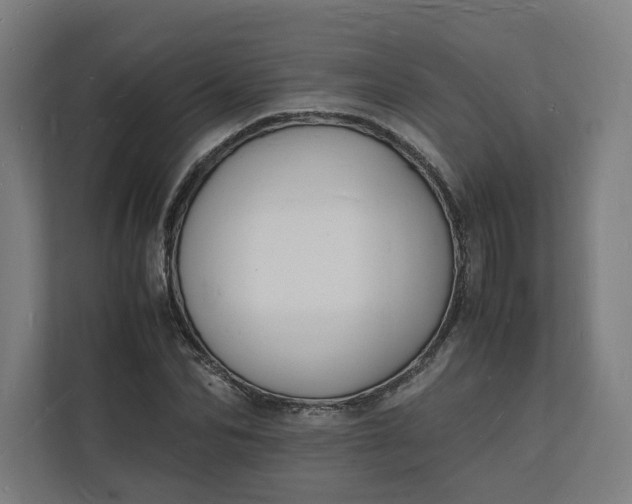 X0000112150974200908211411