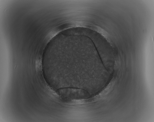 X0000112150977200908211410