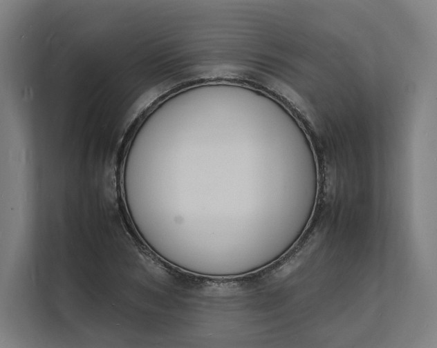 X0000112150978200908211410