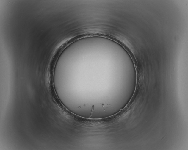 X0000112150979200908211410