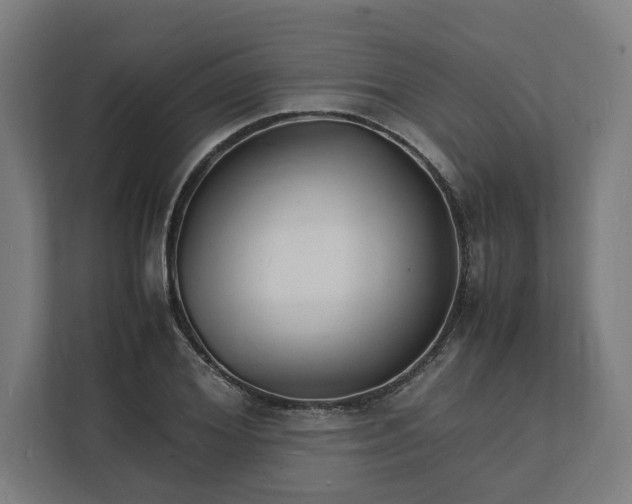 X0000112150980200908211410