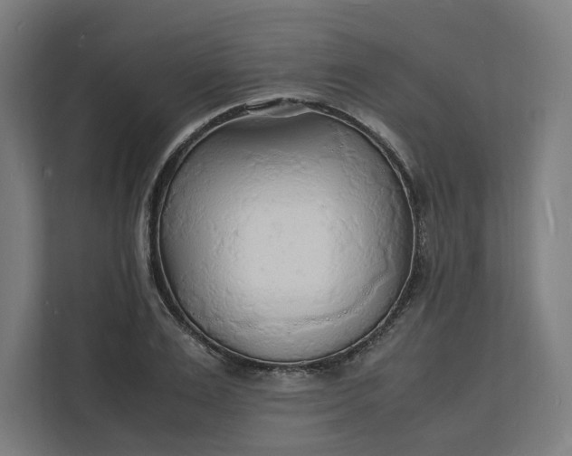 X0000112150983200908211410