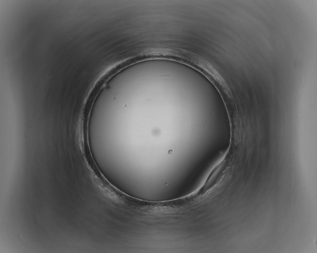 X0000112150984200908211410