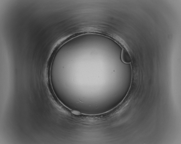 X0000112150987200908211410