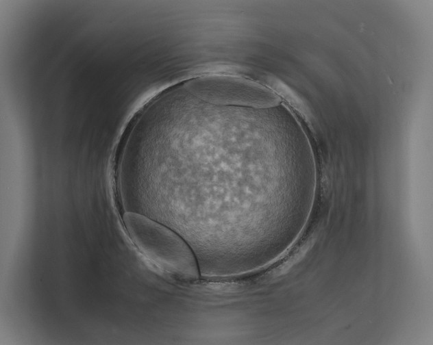 X0000112150989200908211410