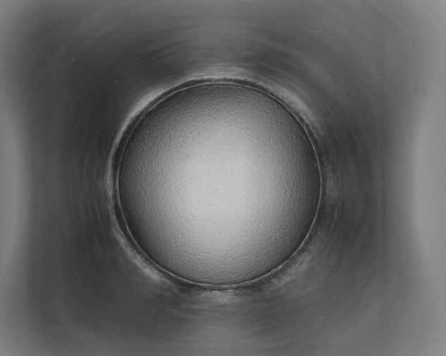 X0000112150990200908211410