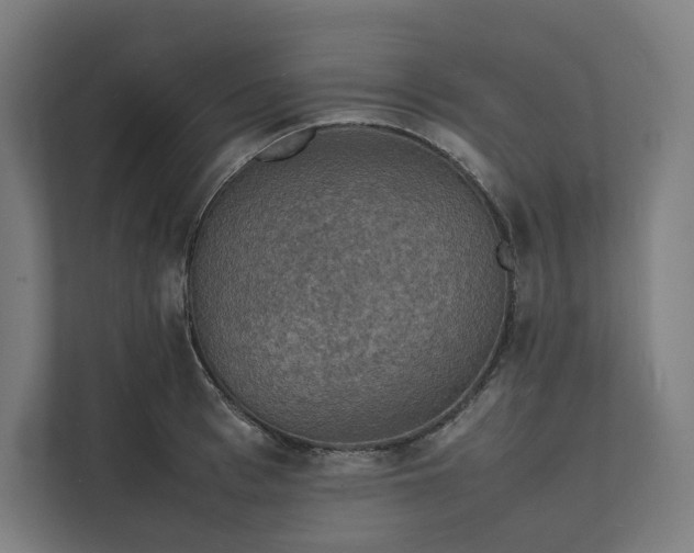 X0000112150993200908211410