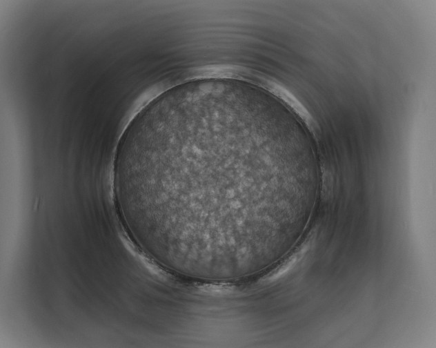 X0000112150994200908211410