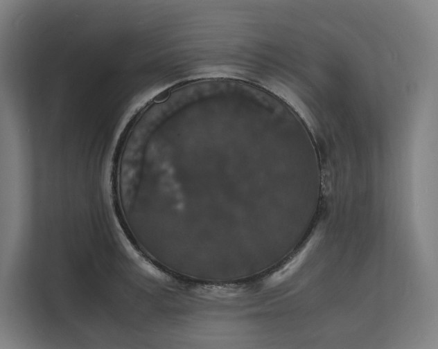 X0000112150995200908211410