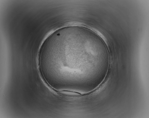 X0000112150997200908211410