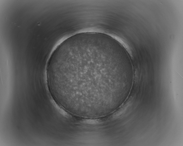 X0000112150998200908211410