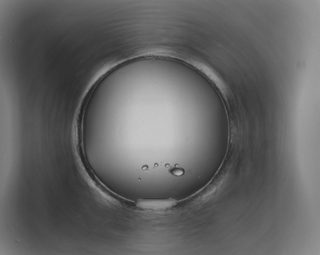 X0000112150999200908211410