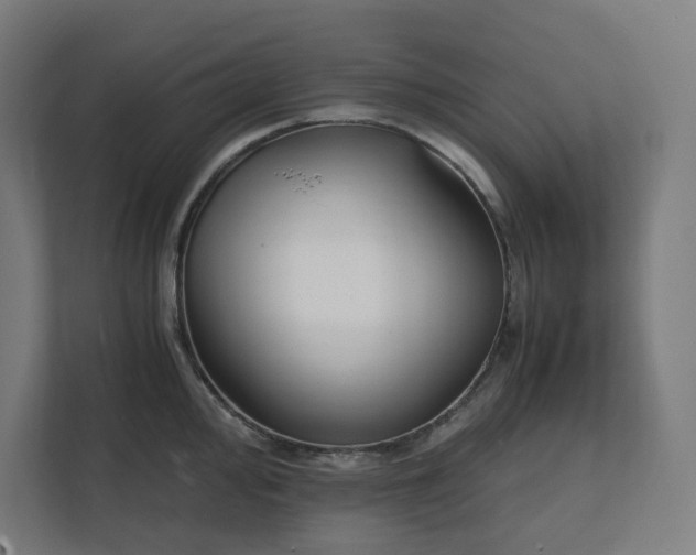 X0000112151000200908211410
