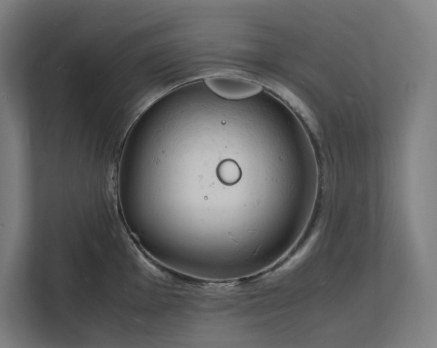 X0000112151001200908211410
